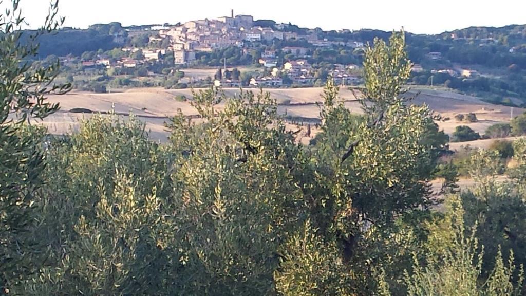 Agriturismo Campoalquattrino Villa Bibbona Buitenkant foto