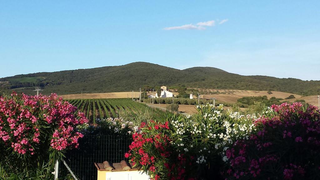 Agriturismo Campoalquattrino Villa Bibbona Buitenkant foto