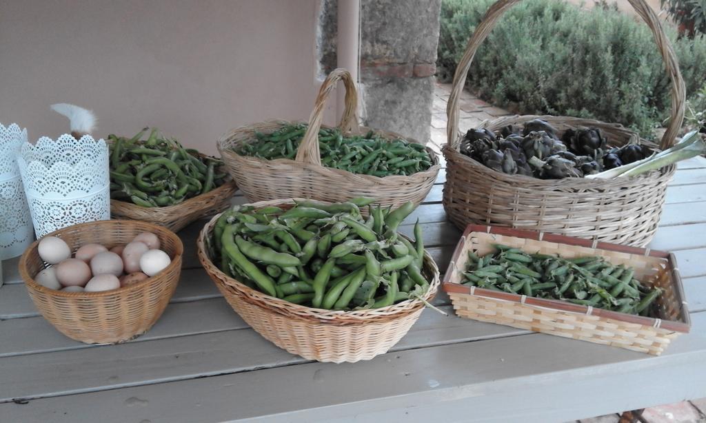 Agriturismo Campoalquattrino Villa Bibbona Buitenkant foto