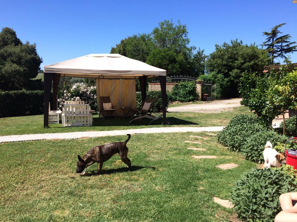 Agriturismo Campoalquattrino Villa Bibbona Buitenkant foto