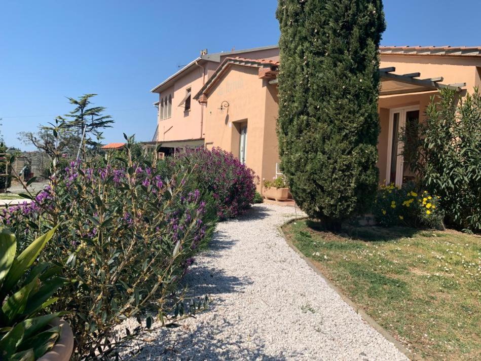 Agriturismo Campoalquattrino Villa Bibbona Buitenkant foto